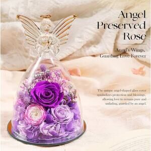 Angel Roses Gift For Her Brand New